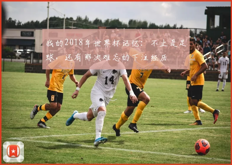 我的2018年世界杯记忆：不止是足球，还有那次难忘的下注经历