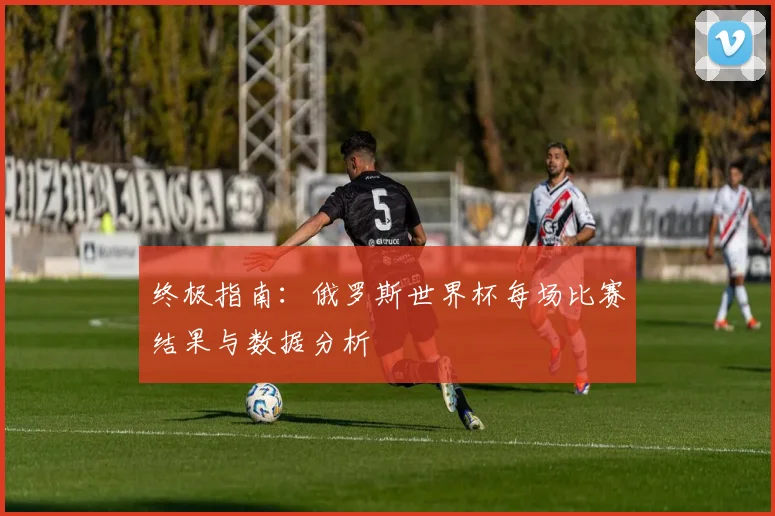 终极指南：俄罗斯世界杯每场比赛结果与数据分析